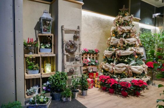 Cúrcuma Floristería