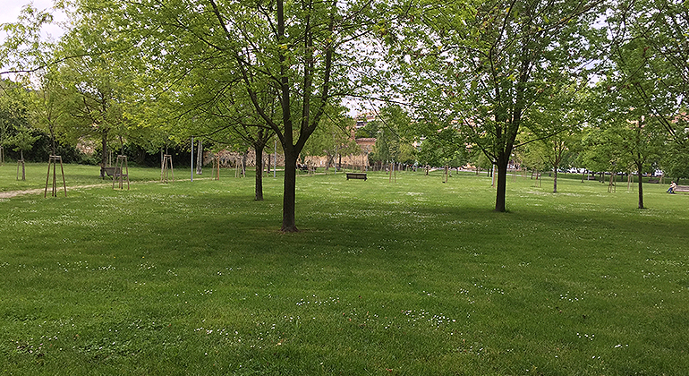Parque de Los Llanos de Estella
