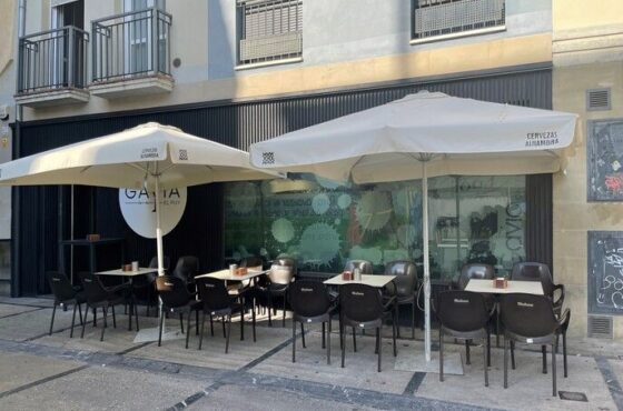 Café Bar Gavia -El Puy-